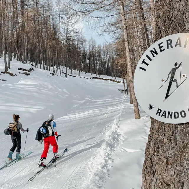 Itinéraire Brinzeï ski de randonné