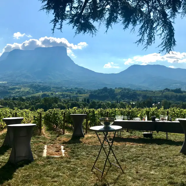 Apero Vigne