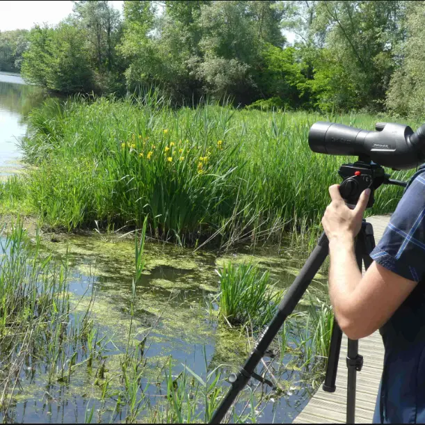 Gravière aux Oiseaux - Week-end observation_Mably