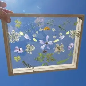 Art Floral (8-13 ans) - Maison du Marais de Lavours_Ceyzérieu