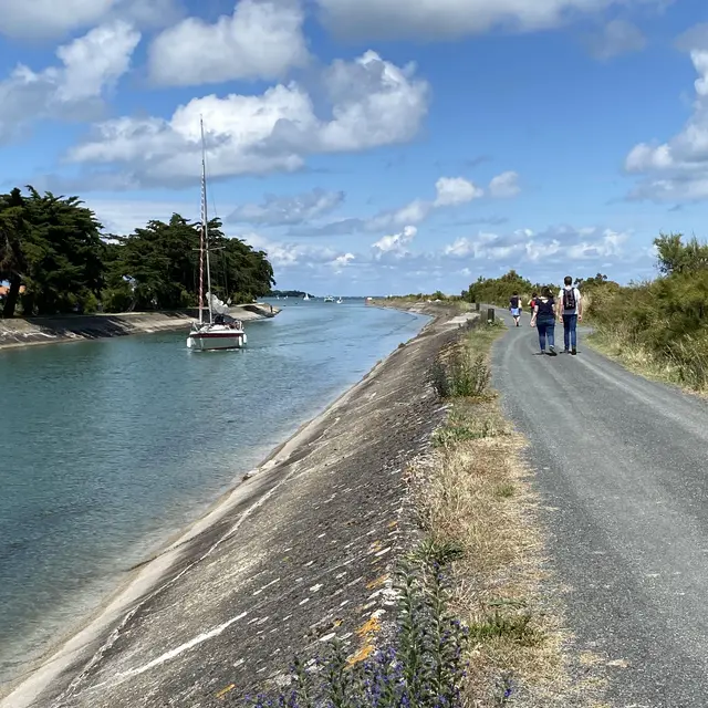 Promenade le long du chenal d'Ars-en-Ré