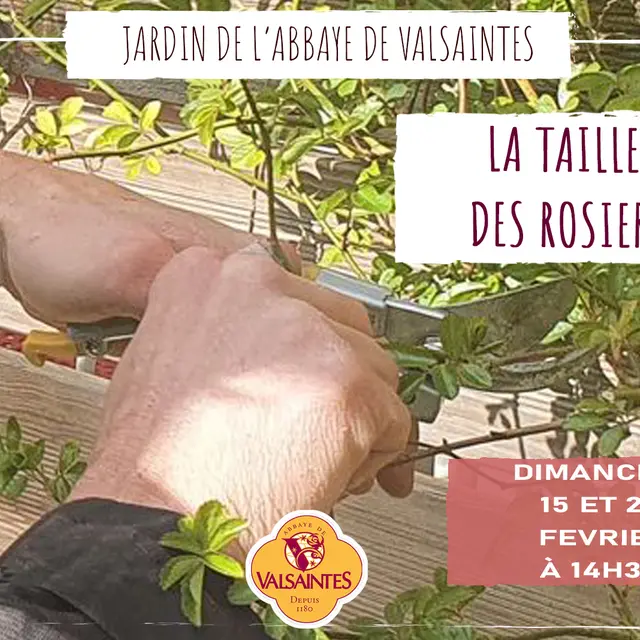 Conférence sur la taille des rosiers_Simiane-la-Rotonde