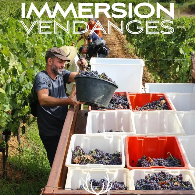 Journée découverte des vendanges au Château Pas du Cerf_La Londe-les-Maures