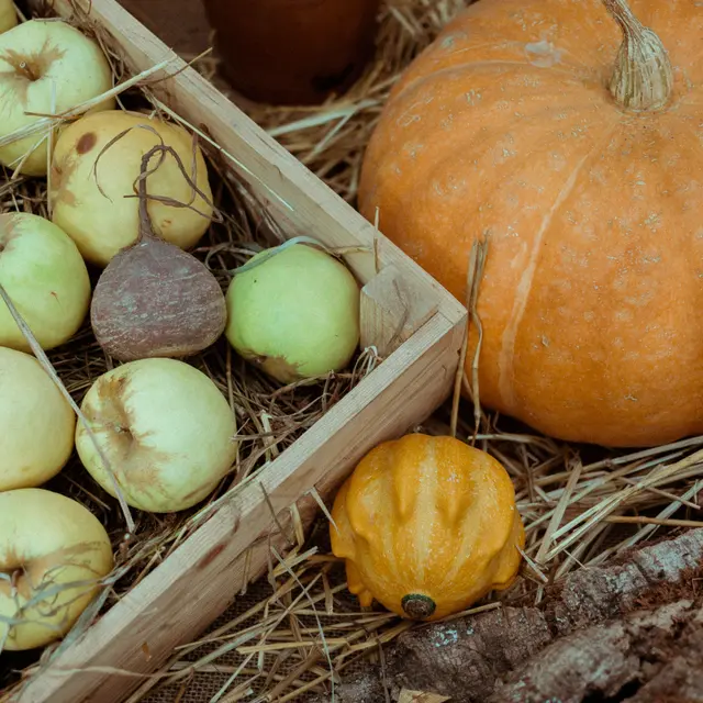 Fête de l'Automne_Chilly