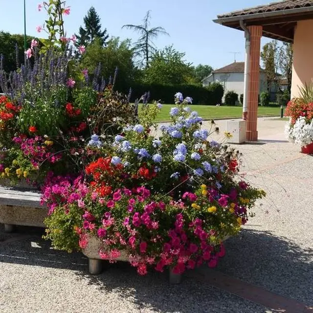 Aire de pique-nique de Montbeton Tarn-et-Garonne