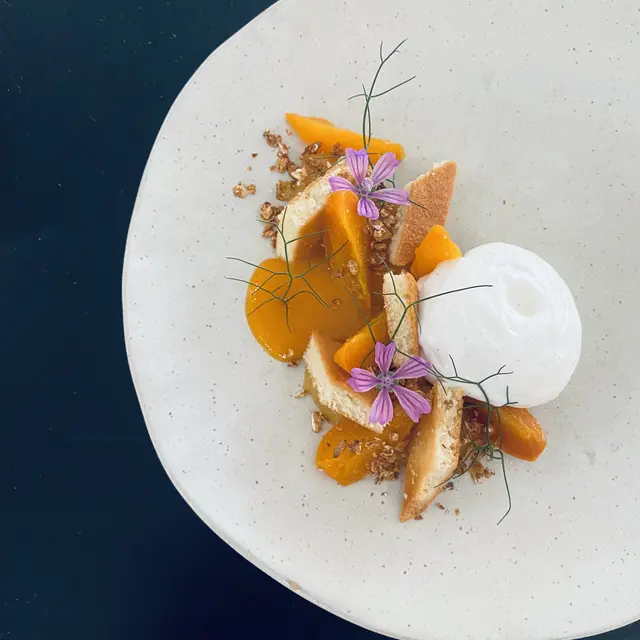 L’abricot - brousse du Rove