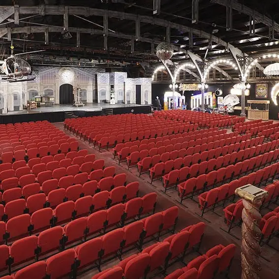 Les Ateliers Magiques de Dani Lary - salle de spectacle