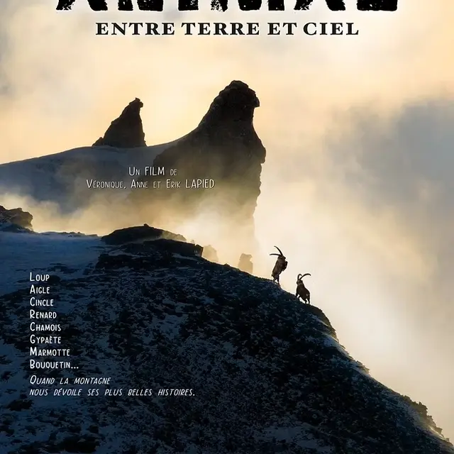 Animal entre terre et ciel