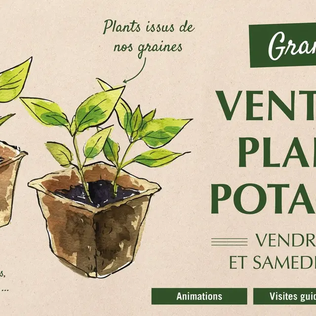 Vente de plants