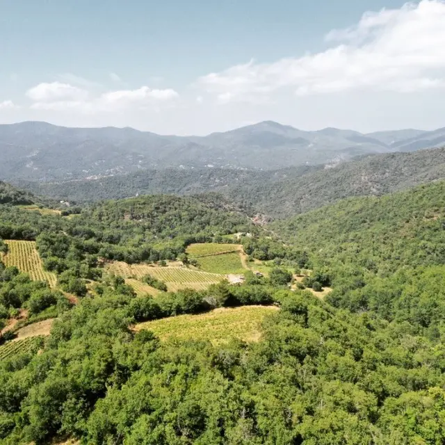Domaine de l'Avellan_La Londe-les-Maures