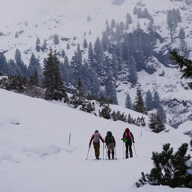 Rando raquettes nocturne avec fondue sous une yourte_Thonon-les-Bains
