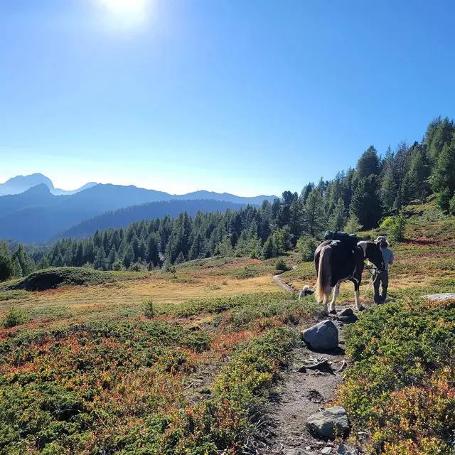 Les Crinières des Cimes