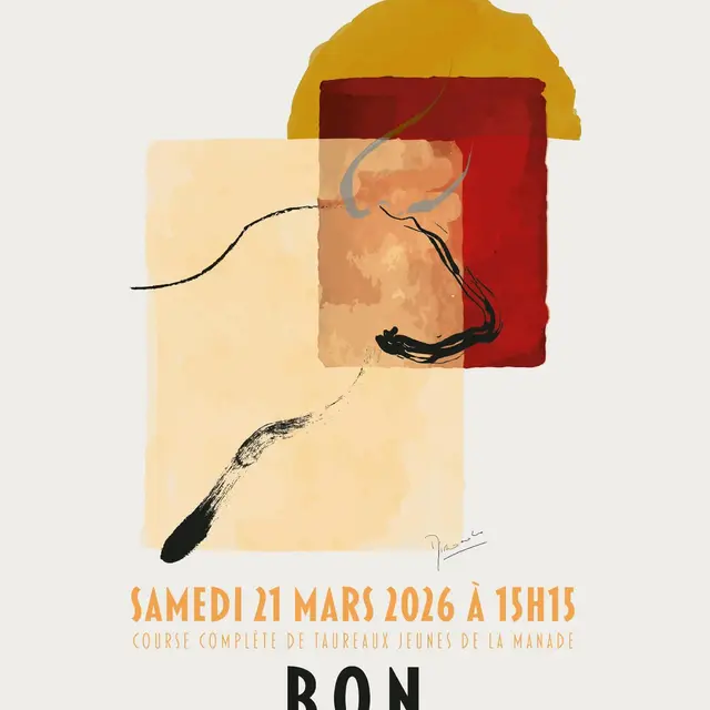 Course camarguaise - Course complète de taureaux jeunes_Noves