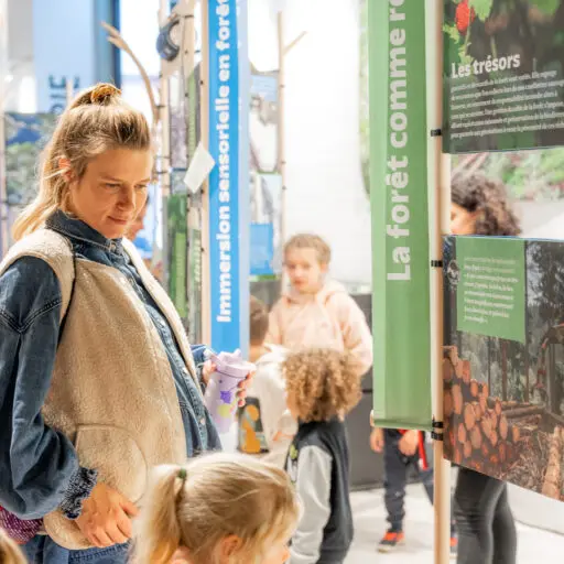 Exposition : Entre les branches_Le Grand-Bornand