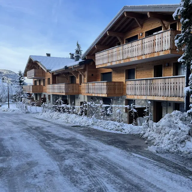 Cottage alpin : vue route des Pesses