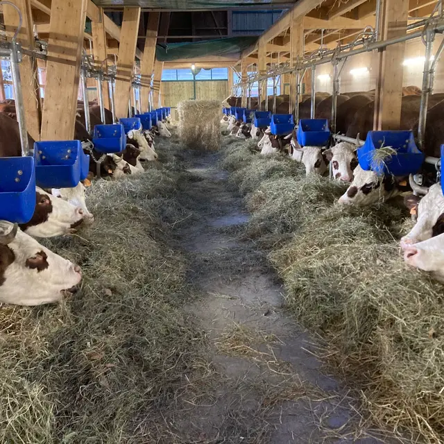 Ferme de l'Auboury