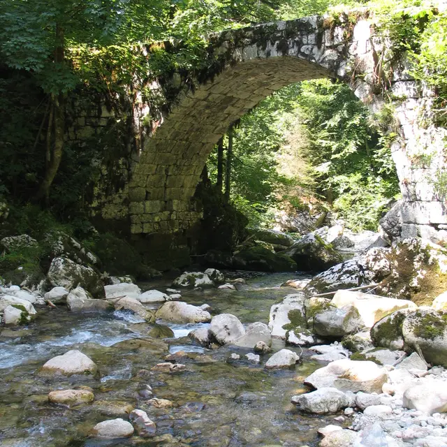 Visite guidée : A la découverte des usages de l'énergie hydraulique par les Chartreux_Saint-Pierre-de-Chartreuse