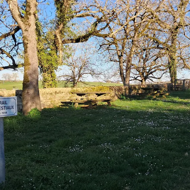Aire de pique-nique du foirail d'Espinas_Espinas