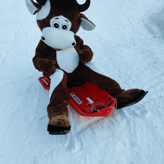 Course de luge_Flumet