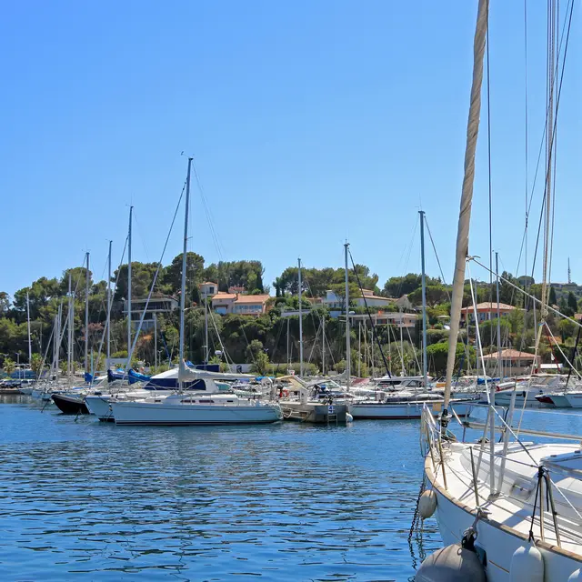 Demi-journée en catamaran au large de Cavalaire_Cavalaire-sur-Mer