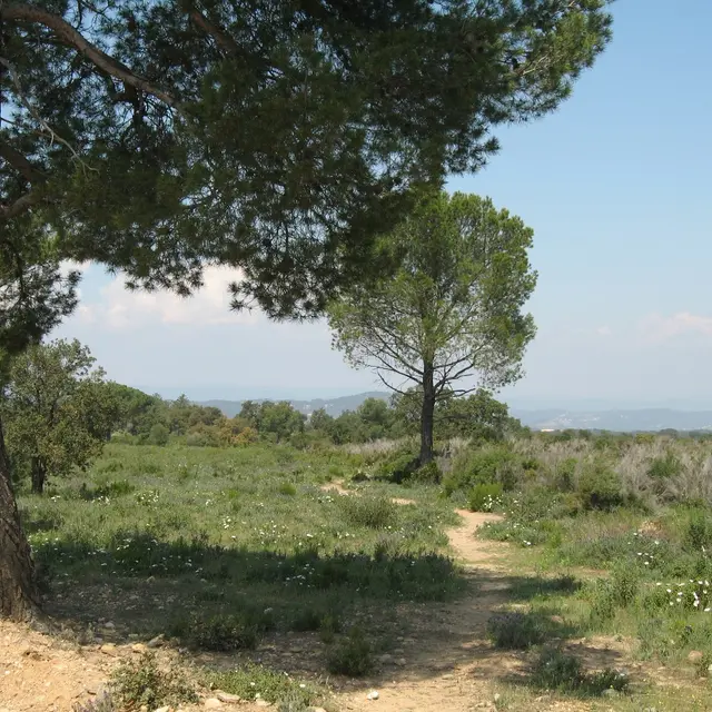 Plaine des Maures - La Garde-Freinet - Randonnée pédestre
