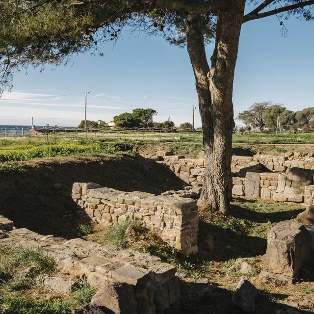 Le site antique d'Olbia