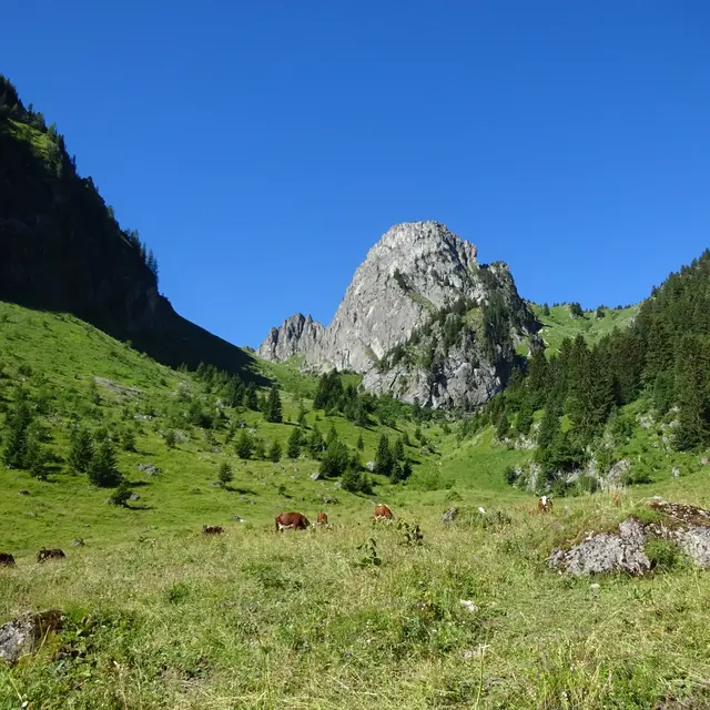 Le Mont Brion - Abondance