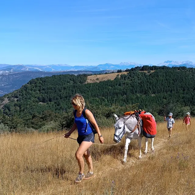 randoner avec nos ânes