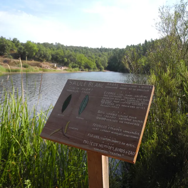 Lac du Rioutard