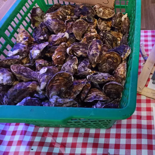 Fête des coquillages aux Laurons_Martigues