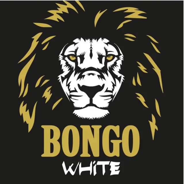 Concert Bongo White - Les Mercredis Musicaux_Castellane