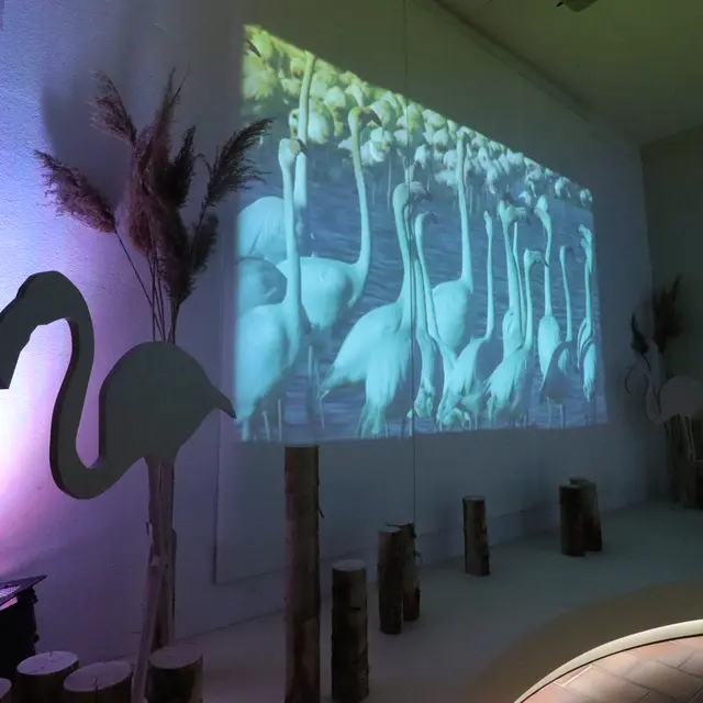 Visite commentée Découverte de la Maison de la Réserve et du Vaccarès_Arles