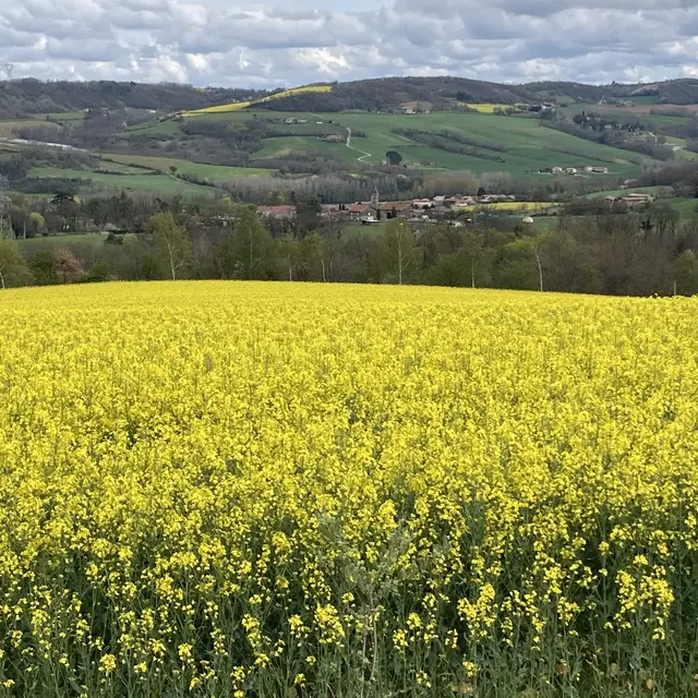 Du château de Barbe bleue à la tour d’Albon