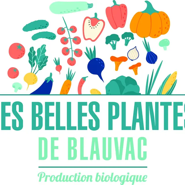Les belles plantes de Blauvac_Blauvac