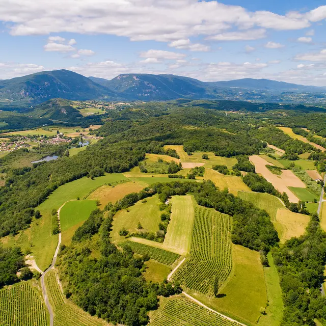 Parcours de balade dans le vignoble de la Maison Angelot à Marignieu_Marignieu