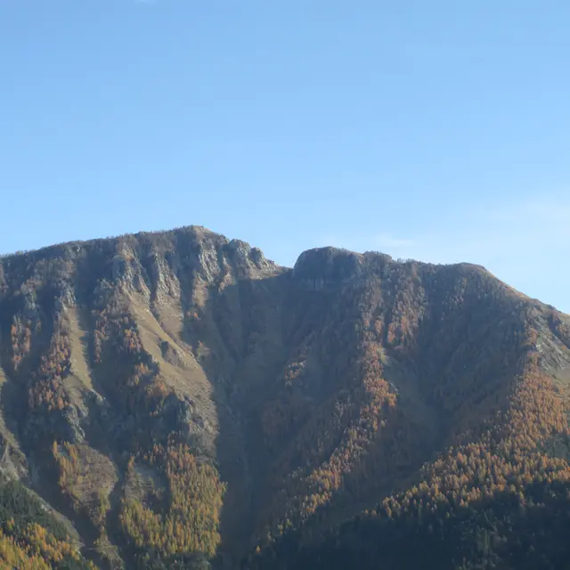 cime de marta
