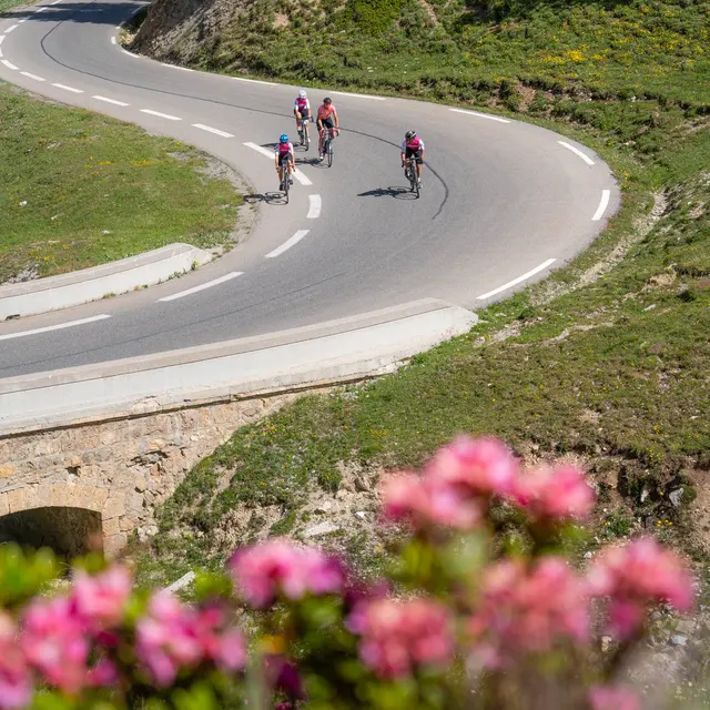 Sur la route du col de l'Izoard en vélo de route
