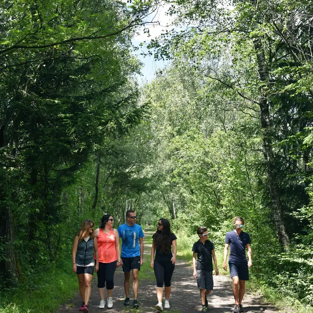 Sentier pédestre : promenade au fil de l'eau