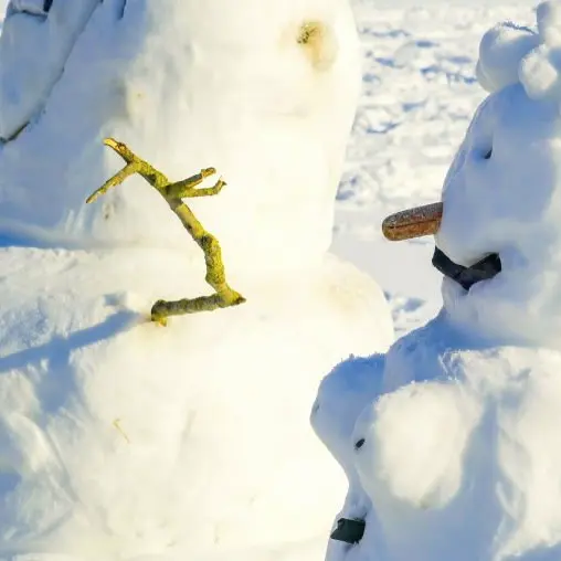 Sculptures sur neige du Nouvel An