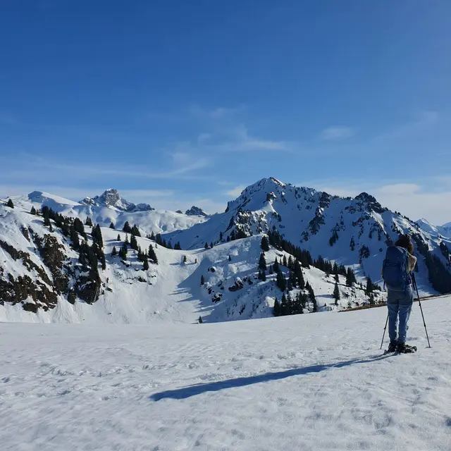 Alpes Suisse : l'échappée blanche_Les Sept Laux Pipay