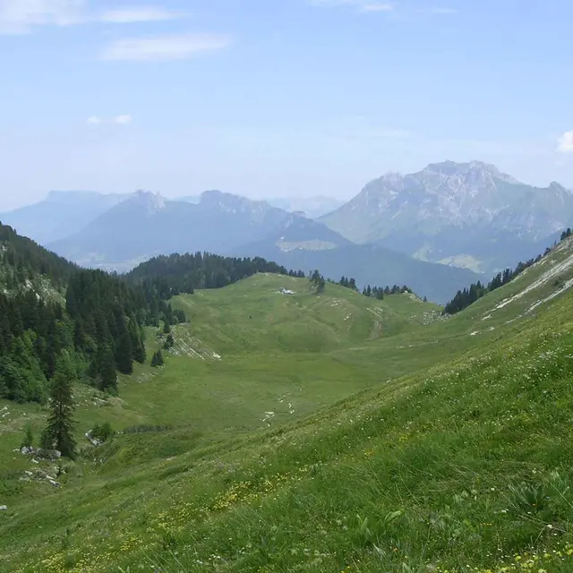 Les jeudis à l'alpage : le vrai goût de la montagne à Seythenex_Lathuile