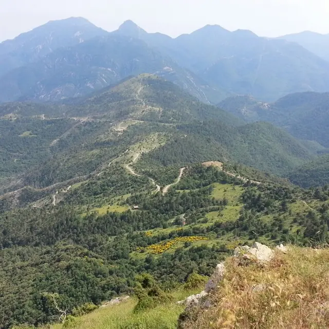 Cime du Bosc