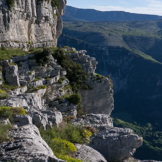 Le plateau de Cavillore, balcon sur les gorges du Loup et le littoral azuréen_Gourdon