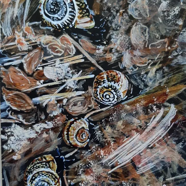 Portes Ouvertes de l'Atelier d'AmBo