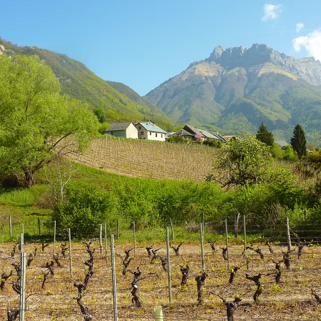 Paysage grangette