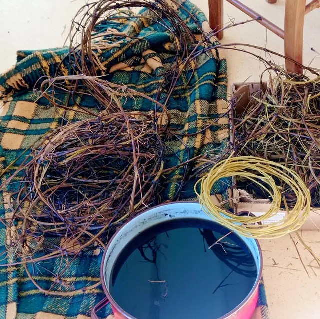 Stage de vannerie : vannerie sauvage aléatoire en clématite_Trescléoux