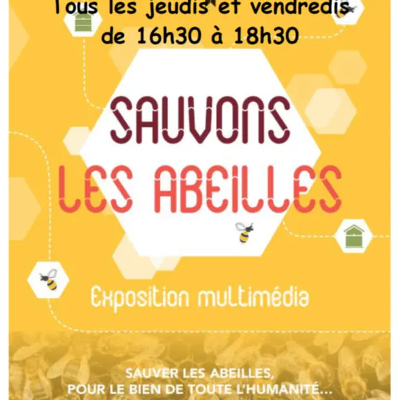 Exposition Sauvons les abeilles_Aiguilles
