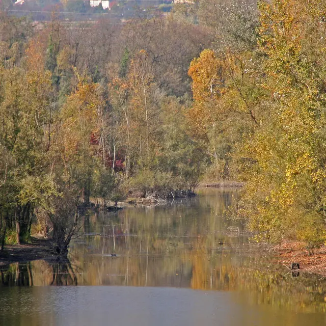 Lac de la Base  nature