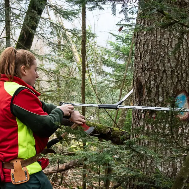 Vis ma vie de Forestier_Le Châtelard