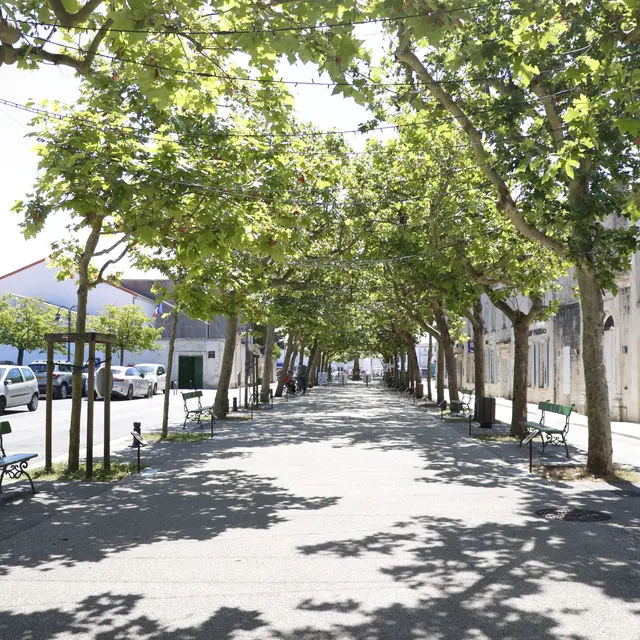 Cours Félix Faure